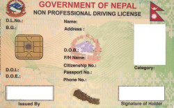 Transport Department blames contrator for technical issues in smart licence printing